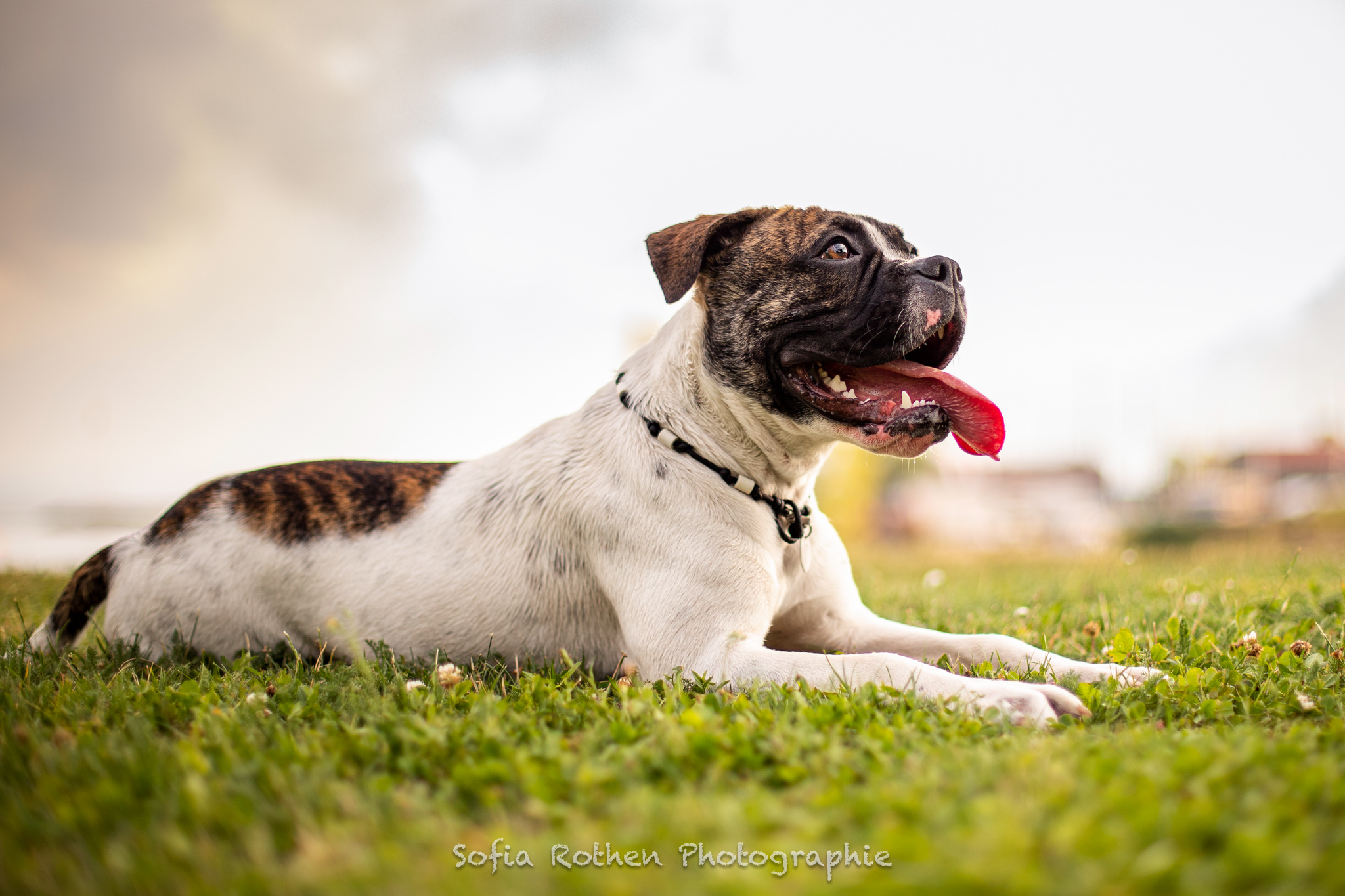Stitch-Ojai-2020-WEB-10