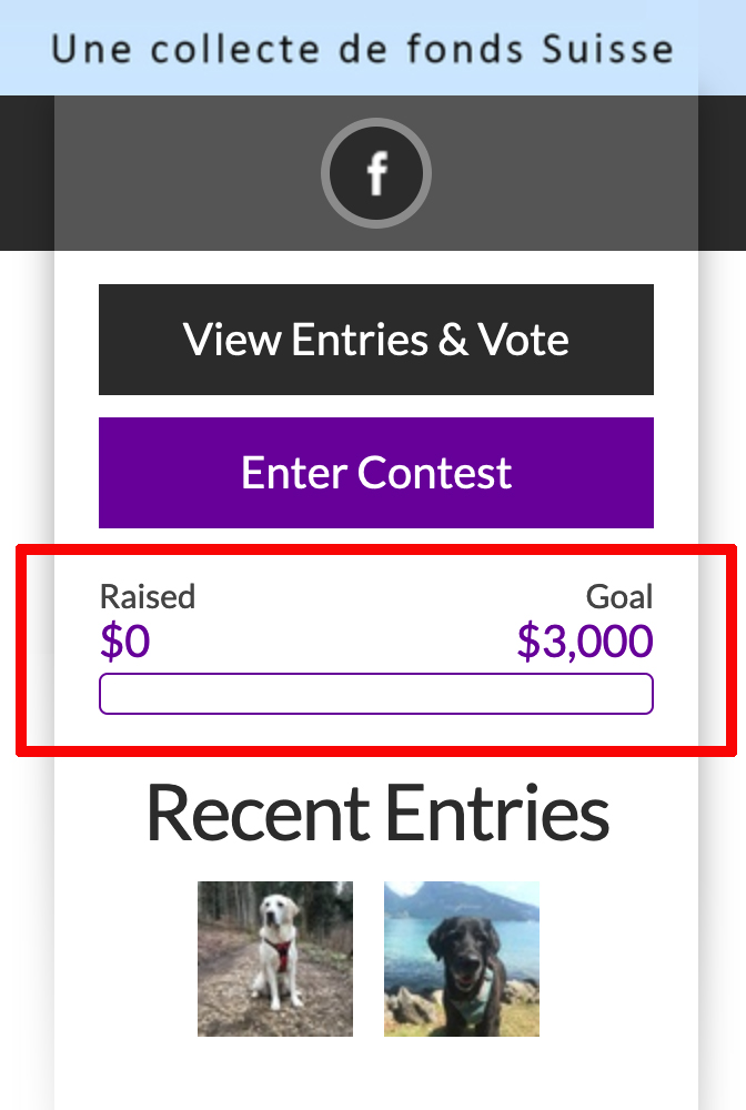 fundraising goal