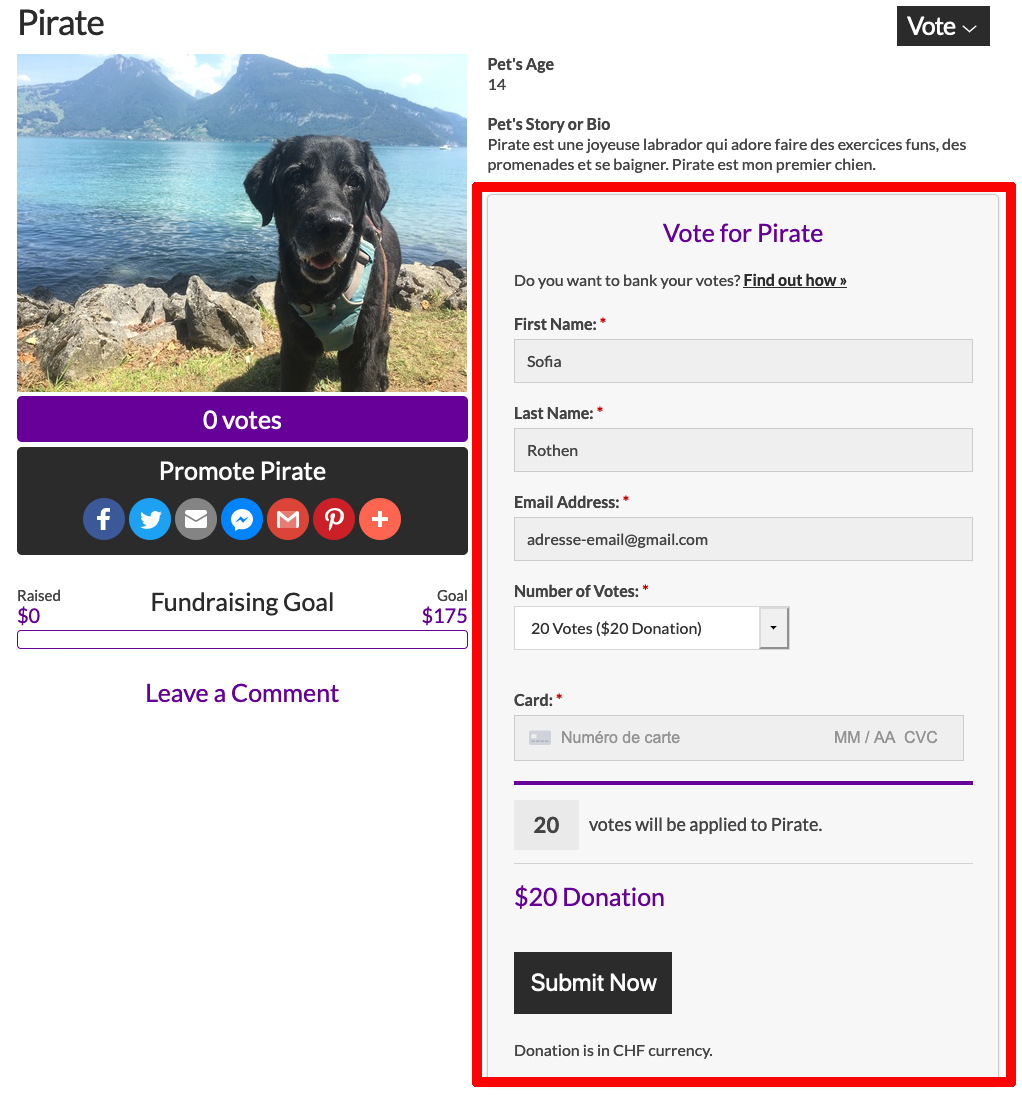 submit-votes